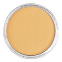 PanPastel Artists Painting Pastel - Pearlescent Orange, 952.5