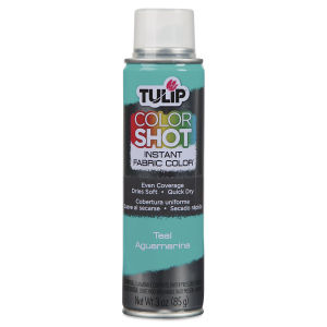 Tulip ColorShot Instant Fabric Color Spray - Teal