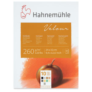 Hahnemuhle Velour Papers - 9-2/5" x 12-3/5", Assorted Colors, 10 Sheets