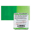 Schmincke Horadam Aquarell Watercolor - Permanent Green, Half Pan