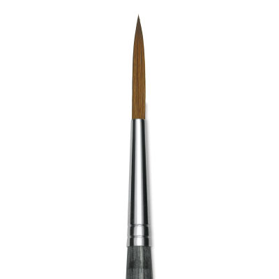 Da Vinci Colineo Synthetic Kolinsky Sable Brush - Rigger, Size 12, Short Handle (close-up)