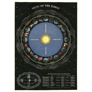 Cavallini Zodiac Chart Gift Wrap