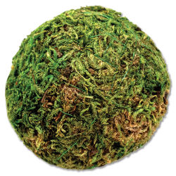 SuperMoss Moss Ball - 2"