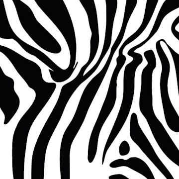 Open in modal - Duck Tape Prints - 1.88" x 10 yds, Zig-Zag Zebra close-up