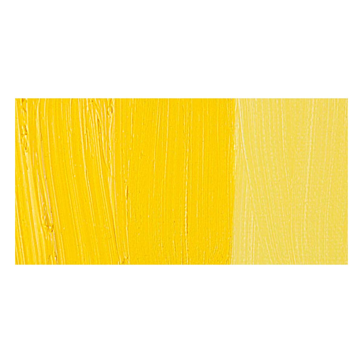 Van Gogh Oil Paint - Cadmium Yellow Medium, 40 ml tube | BLICK Art