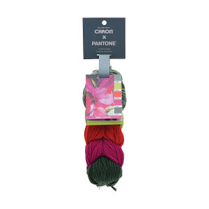 Caron Pantone Yarn - Fuchsia Foliage