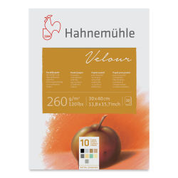 Hahnemuhle Velour Papers - 11-4/5" x 15-7/10", Assorted Colors, 10 Sheets