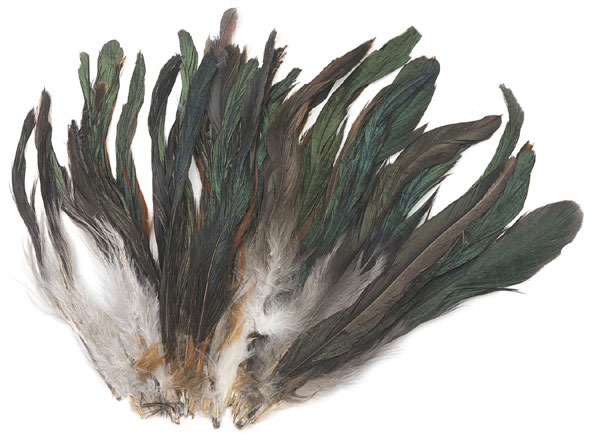 Natural Feathers | BLICK Art Materials