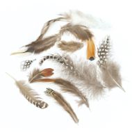Creativity Street Natural Feather Assortment