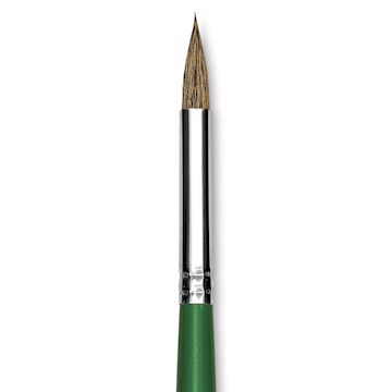 Open in modal - Blick Economy Ox/Pony Hair Brush - Round, Long Handle, Size 10 close up