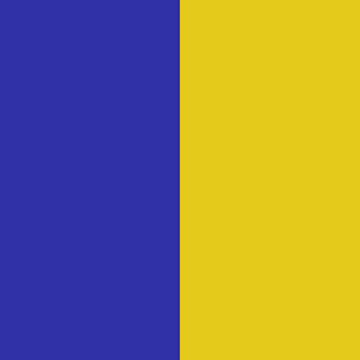 Open in modal - Pepperell Rexlace Duo - Close-up of Blue and Goldenrod Duo Lacing