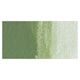 Grumbacher Academy Watercolor - Chromium Oxide Green swatch