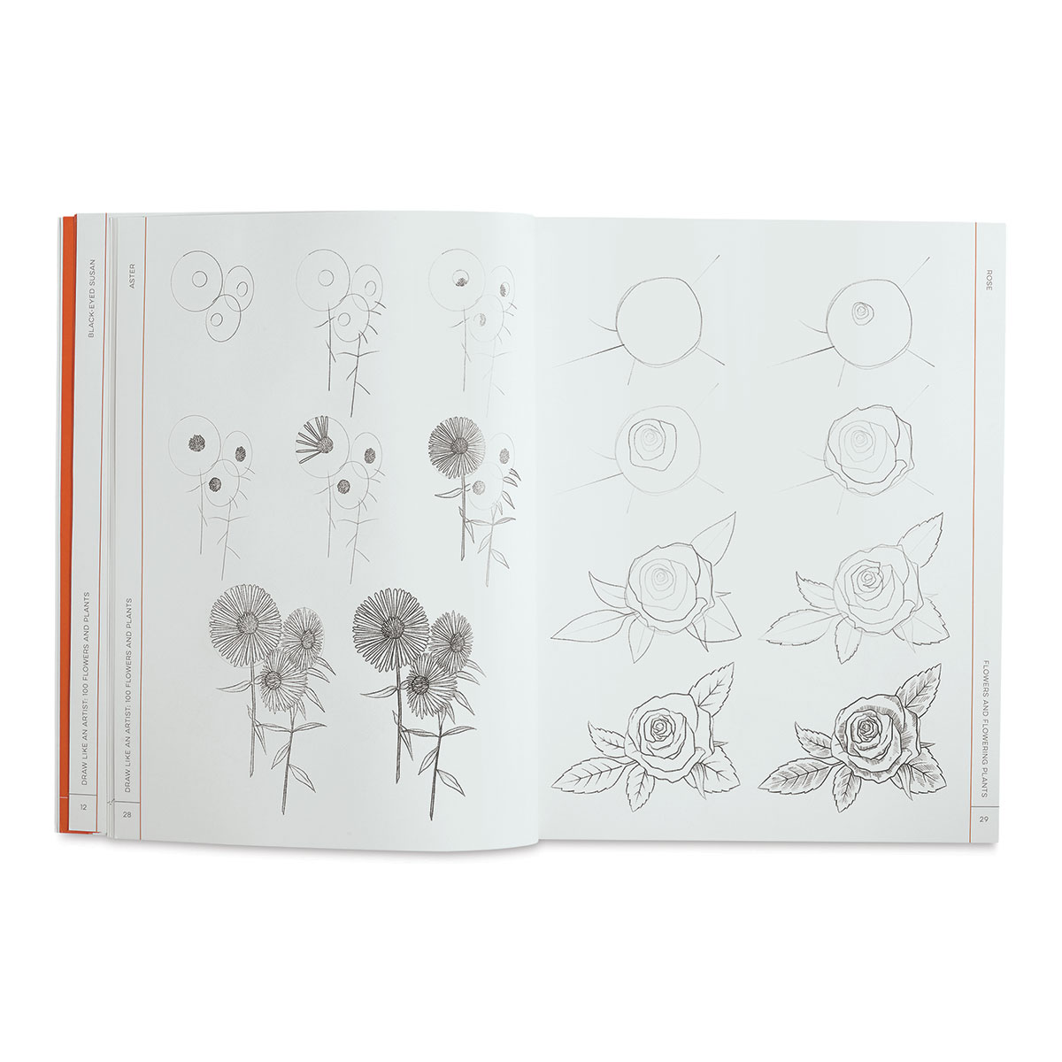 A Hundred Flowers Scratch Art Book