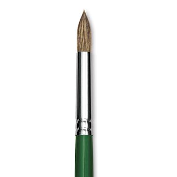 Open in modal - Blick Economy Ox/Pony Hair Brush - Round, Long Handle, Size 14 close up