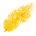 John Bead Ostrich Drab Feather - Yellow