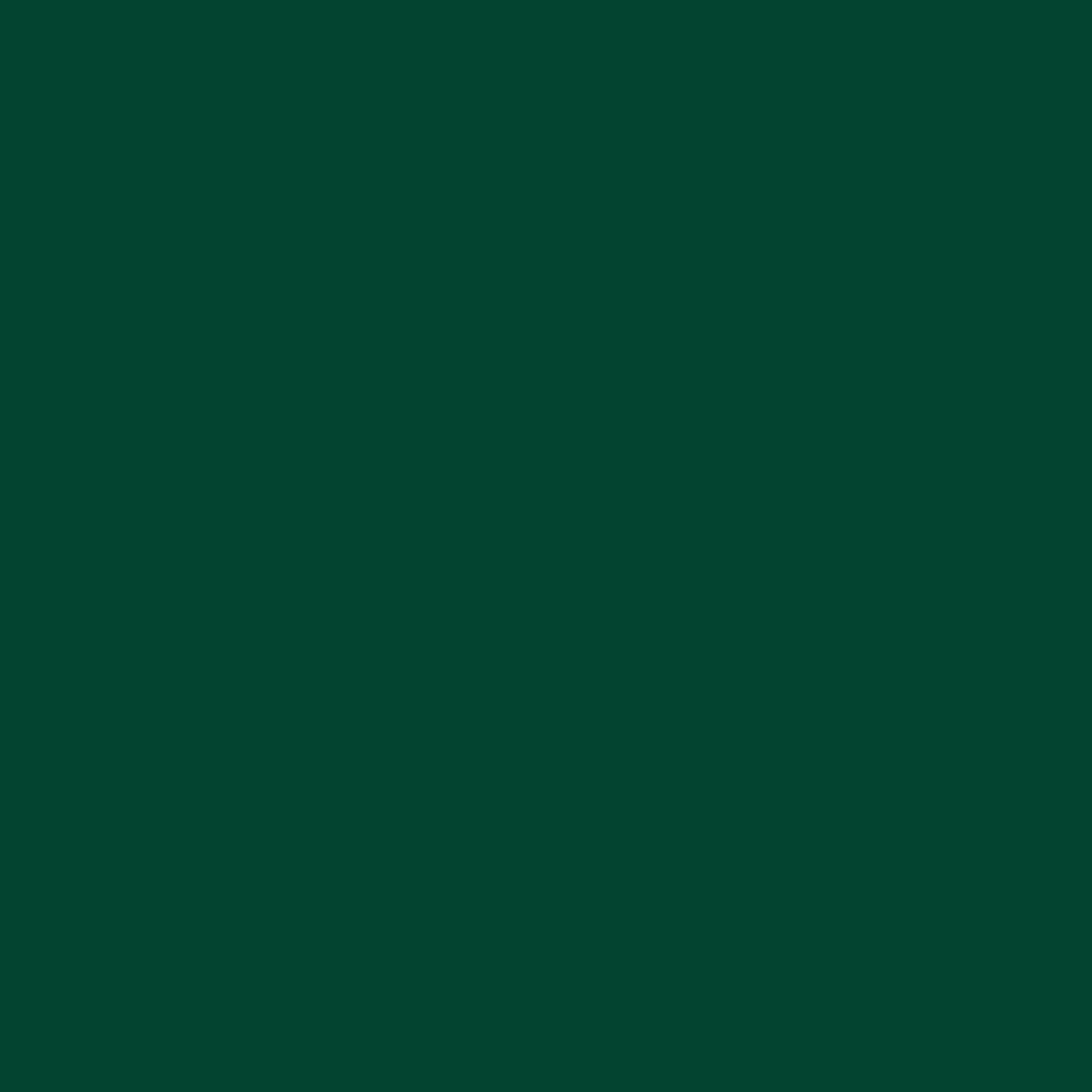Angelus Acrylic Leather Paint - Dark Green, 1 oz
