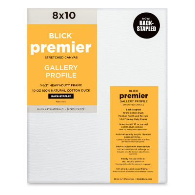 Blick Premier Stretched Cotton Canvas - Gallery Profile, Back-Stapled, 8" x 10" (front)