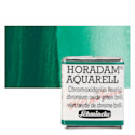 Schmincke Horadam Aquarell Watercolor - Chromium Oxide Green Brilliant, Half Pan