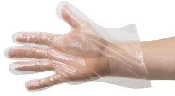 Disposable Plastic Gloves - Right hand extended wearing clear disposable glove

