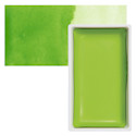 Kuretake Gansai Tambi Watercolor Pan - Pea Green