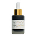 Tom's Studio Calligraphy Ink - Black India Ink, 30 ml