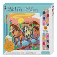Bright Stripes iHeartArt Paint By Number Kits
