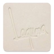 Laguna B-Mix 10 Stoneware Clay WC379