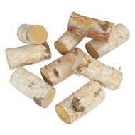 Winter Woods Birch Wood