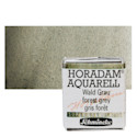 Schmincke Horadam Aquarell Artist Watercolor - Forest Grey, Supergranulation, Half Pan