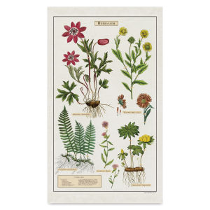 Cavallini Herbarium Tea Towel