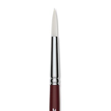 Open in modal - Blick Wonder White Brush - Round, Size 8 close-up