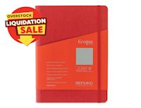 Overstock deal 4