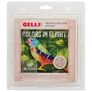 Gelli Arts Print & Collage Studio Sets