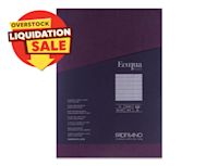 Overstock deal 5