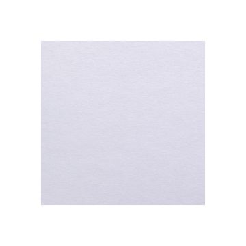 Open in modal - Canson Bristol Plate Art Board - Top view of Art Board