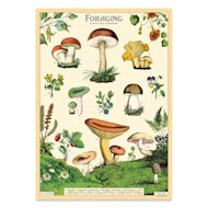 Cavallini Vintage Foraging Printed Paper