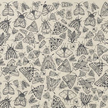 Open in modal - Elan Transfers Underglaze Transfer Sheet - Moths, Black - close-up
