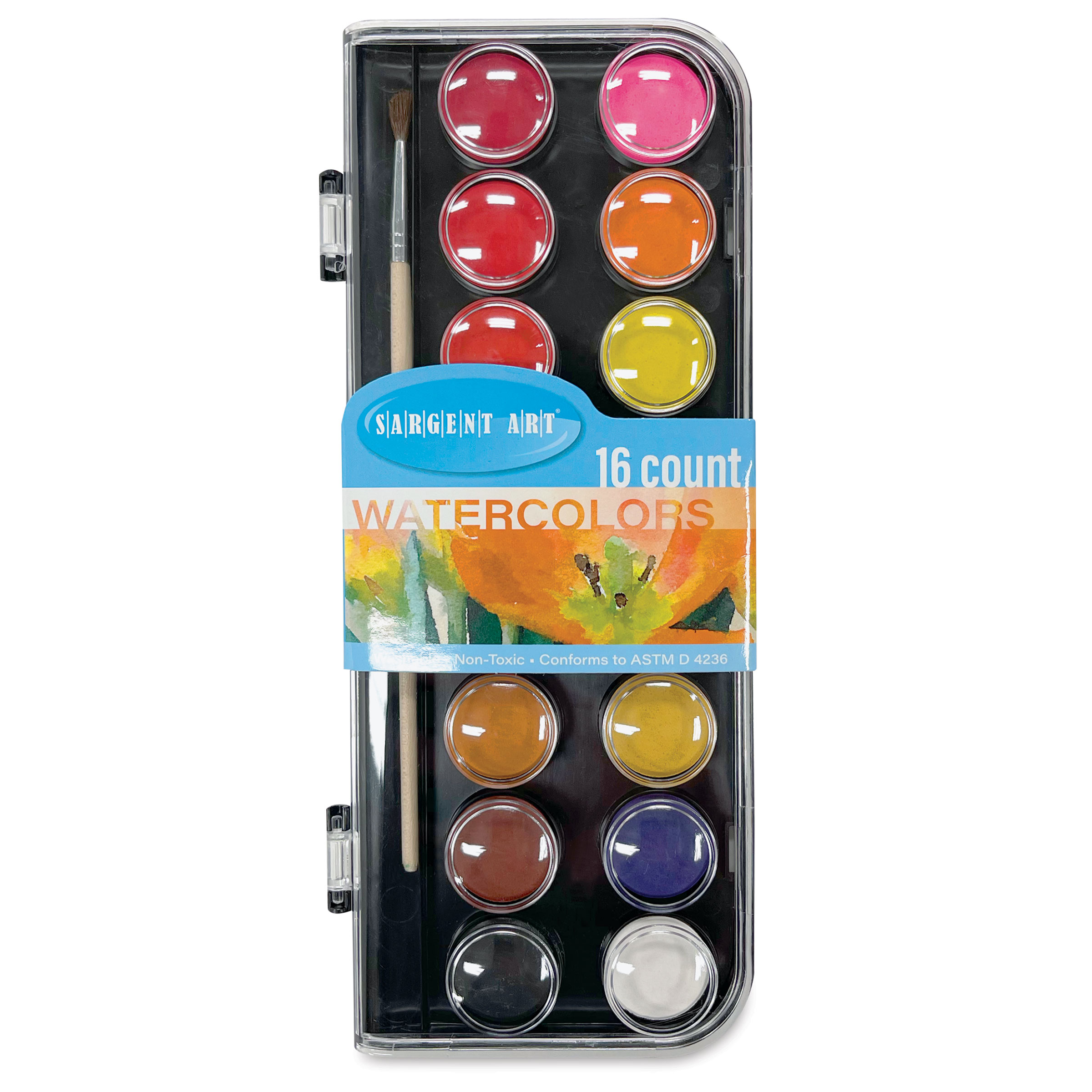 36 Set Bulk Watercolor Paint Pack with Wood Brushes 12 Washable Colors by  Color Swell – ColorSwell