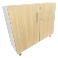 Whitney Brothers ElevatED Lockable Wall Cabinet