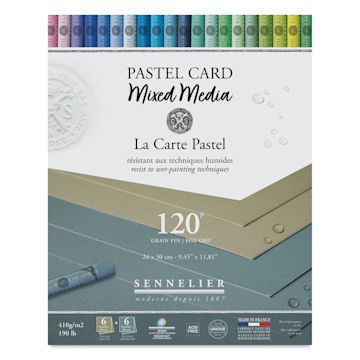 Open in modal - Sennelier La Carte Pastel Card Mixed Media Pad - Shades of Grey, 9-1/2" x 12", front cover