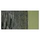 Old Holland New Masters Classic Acrylic Paint - Sap Green Extra swatch
