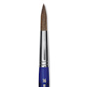 Blick Scholastic Ox Brush - Round, Short Handle, Size 16