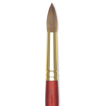 Winsor & Newton Sceptre Gold II Brush - Pointed Round, Short Handle, Size 16