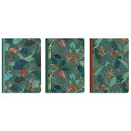 Clairefontaine Gaia Blue Notebooks Set