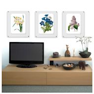 Wexel Art Single Panel Acrylic Display Frame - 21" x 27", Silver Hardware