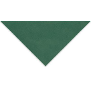Open in modal - Clairefontaine Pastelmat Sheet - 9-1/2" x 12-1/2", Dark Green, 1 Sheet