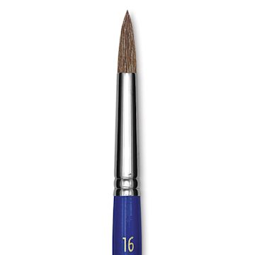 Open in modal - Blick Scholastic Pony Brush - Round, Short Handle, Size 16 close up