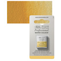 Winsor and Newton Artists' Watercolor -