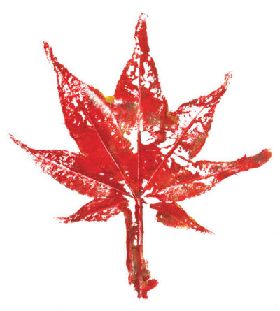 Leaf Print Set - Example of one leaf used with red ink on paper