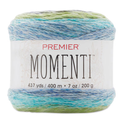Premier Yarn Momenti Yarn - Reef (side view with label)